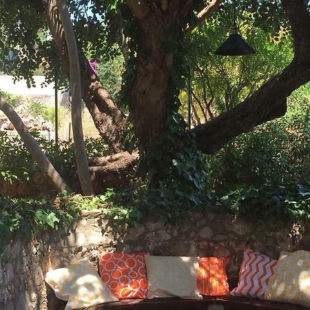 Relax Garden Leilighet Stari Grad  Eksteriør bilde
