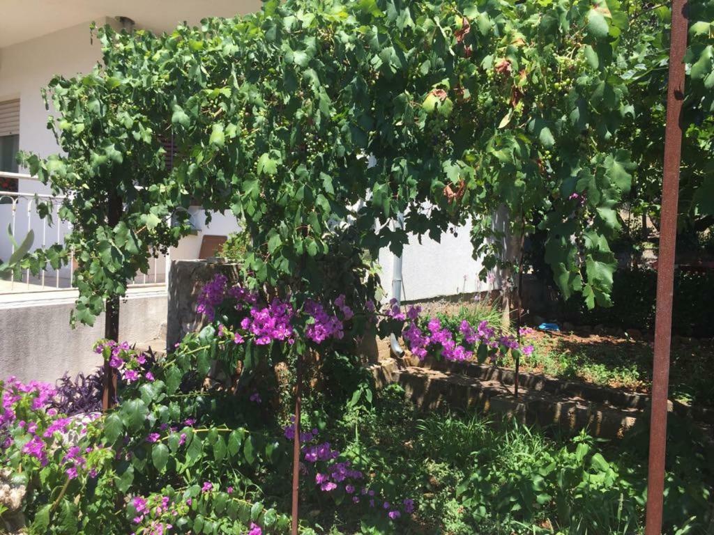 Relax Garden Leilighet Stari Grad  Eksteriør bilde