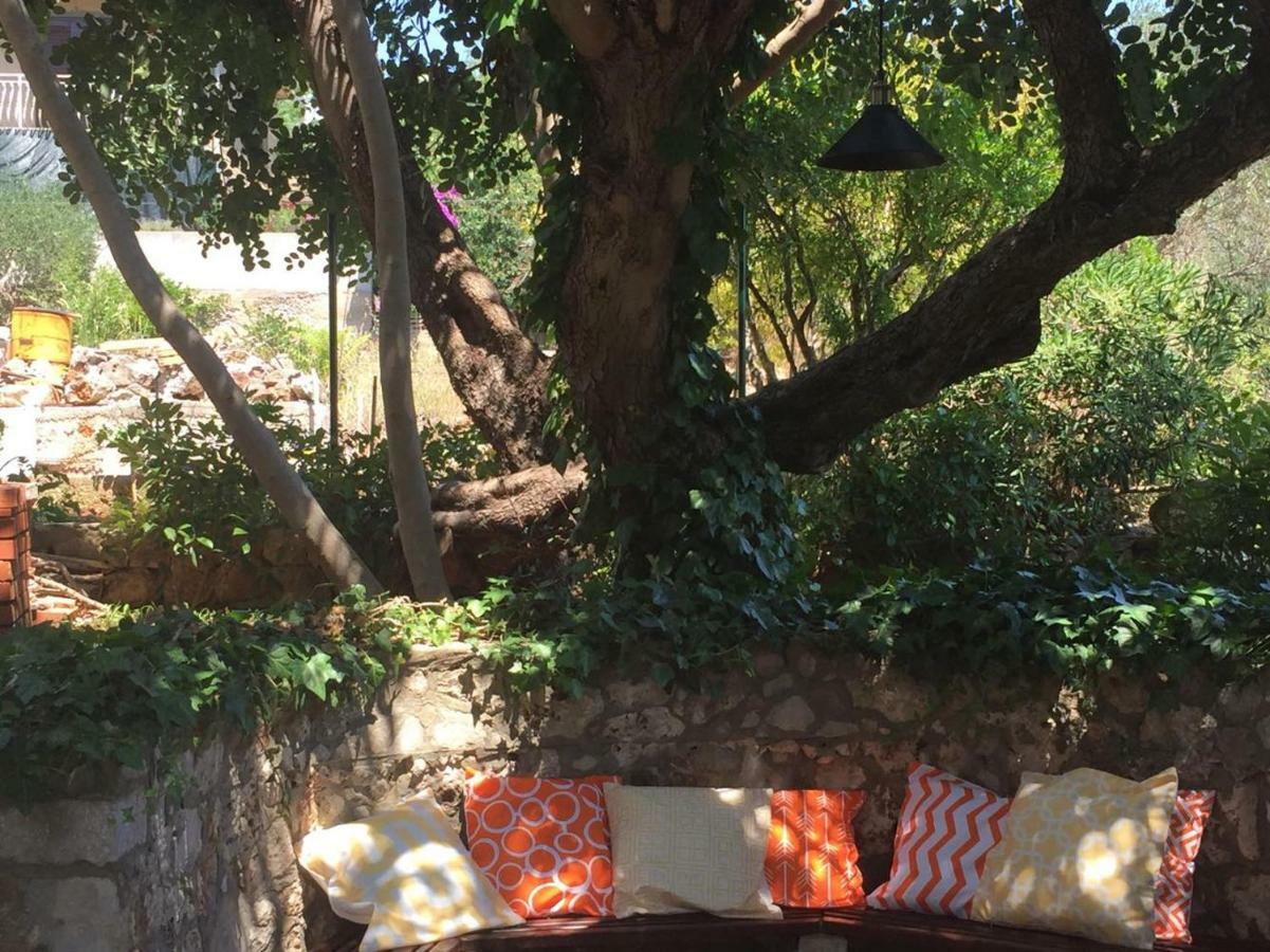 Relax Garden Leilighet Stari Grad  Eksteriør bilde