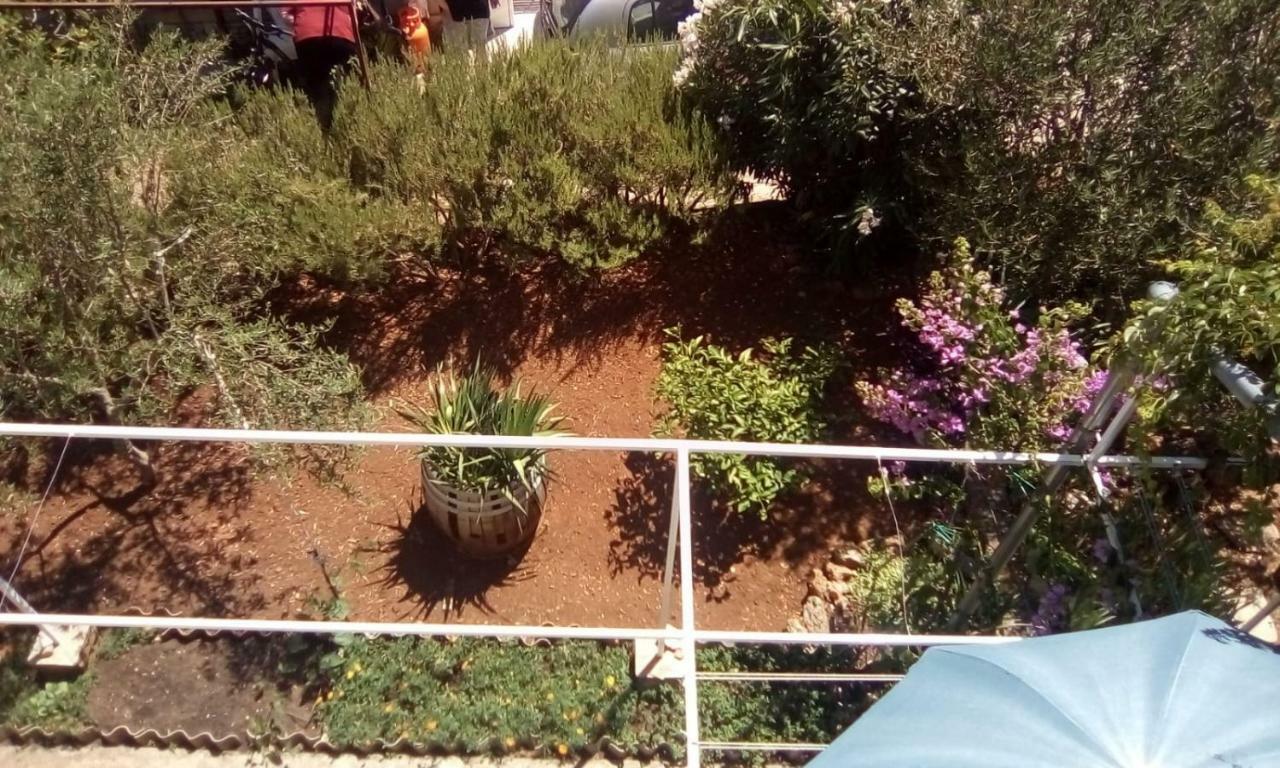 Relax Garden Leilighet Stari Grad  Eksteriør bilde